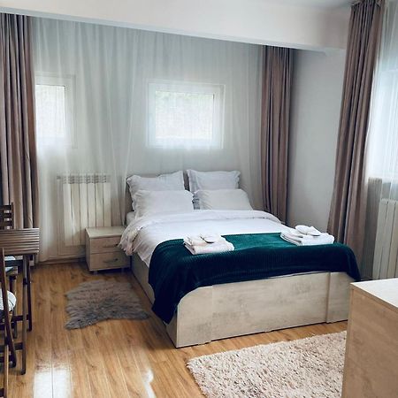Studio Poema Ultracentral Sinaia Luaran gambar